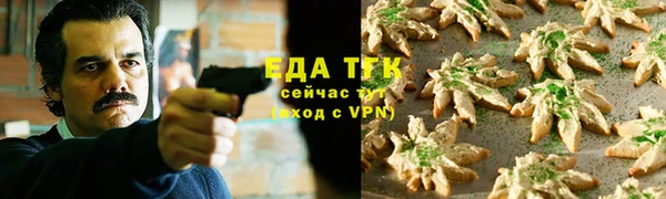 индика Аркадак